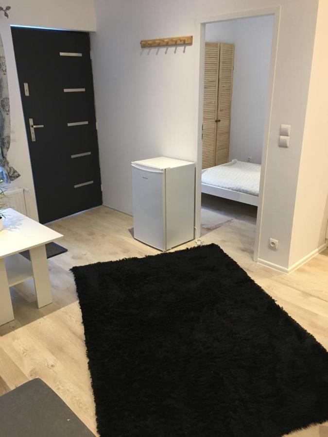Pokoje Goscinne Boryna Schreiberhau Exterior foto