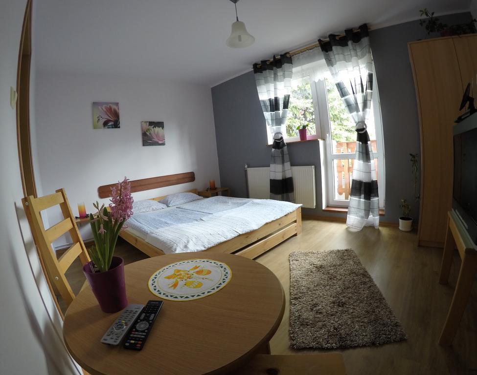 Pokoje Goscinne Boryna Schreiberhau Exterior foto